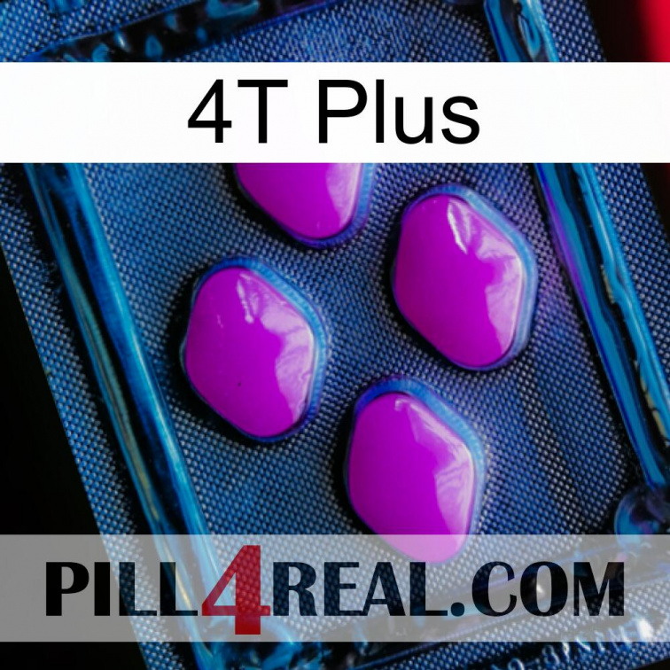 4T Plus 04
